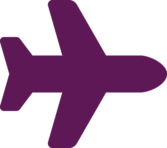 Plane icon