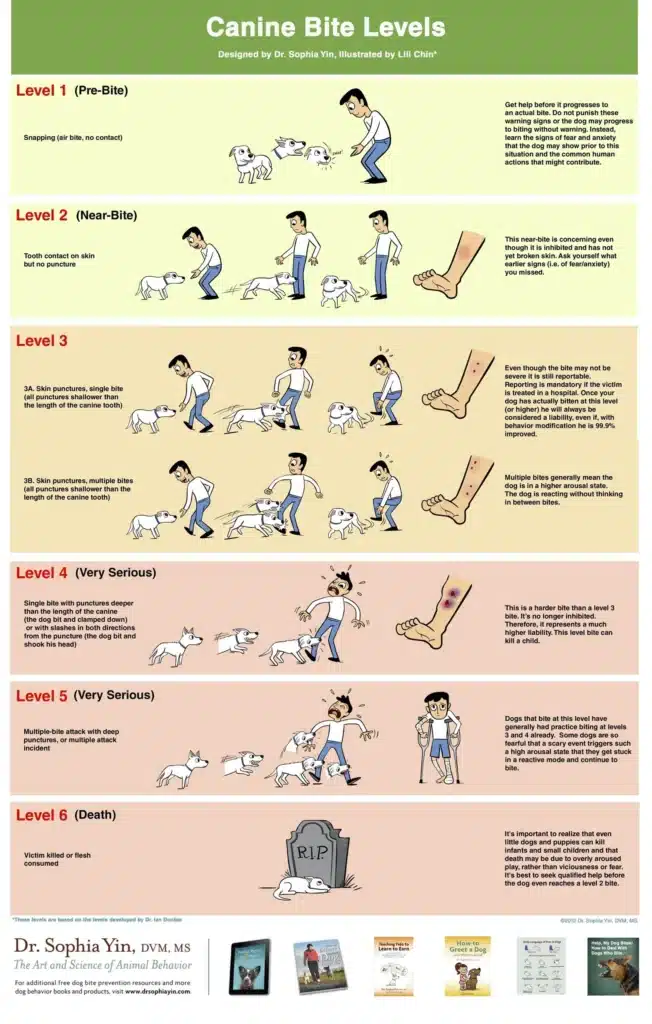 Canine Bite Levels diagram