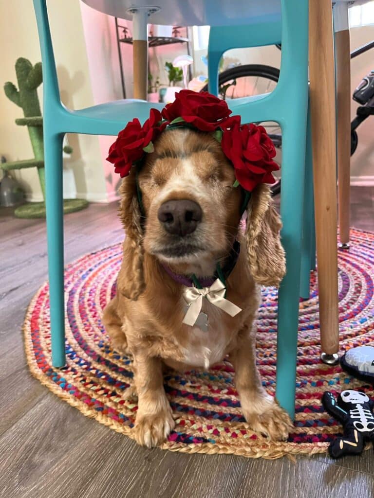 Greta