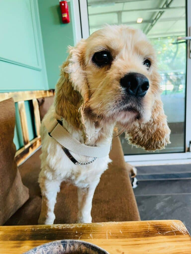 Charlie