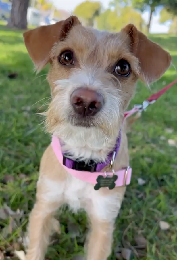 Peach (formerly Mable)