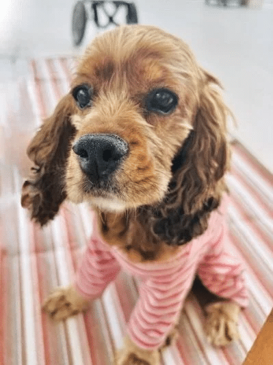 Libby 2