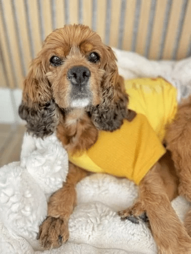 Libby 10