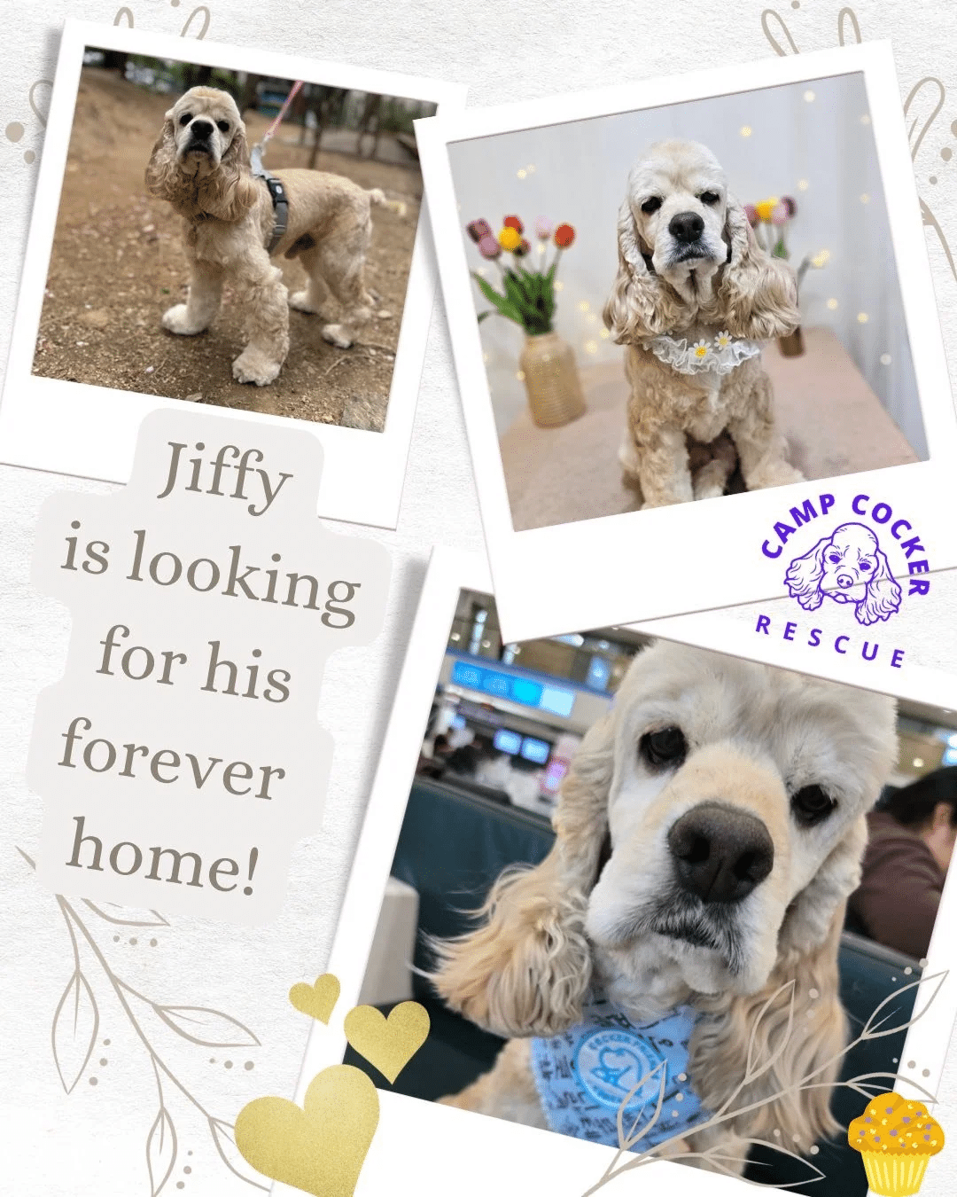 Jiffy 8