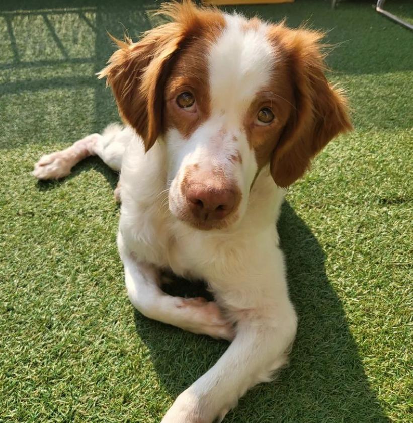 Jeah (formerly Janay)