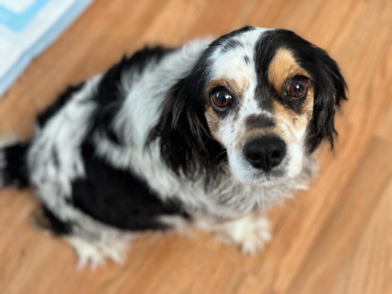 Betty