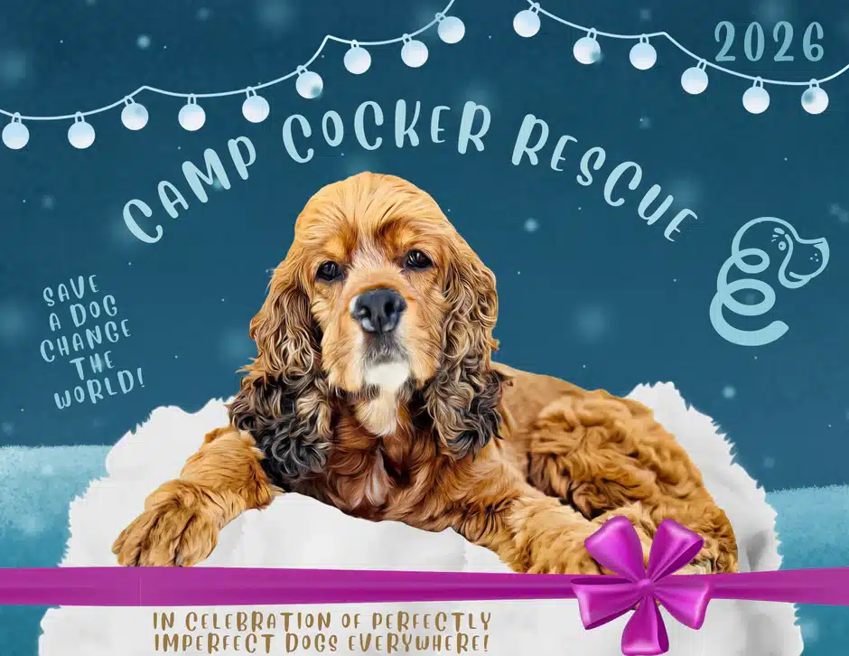 Camp Coker Rescue 2026 calendar